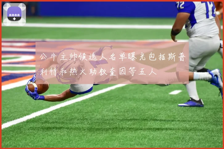 公牛主帅候选人名单曝光包括斯普利特和热火助教奎因等五人